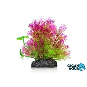 PLANTE AQUA 10 CM 667