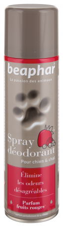 SPRAY DEODORANT 250ML