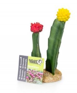 DECOR CACTUS 6  8 X 6 X 18 CM