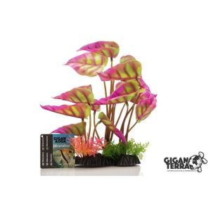 PLANTE SUR PIED 24 CM 546