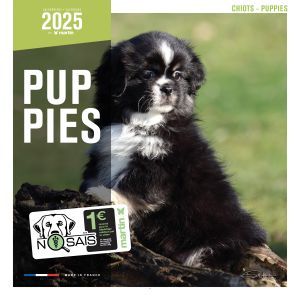 CALENDRIER CHIOTS 2025