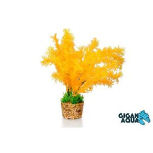 PLANTE AQUA SOCLE 20 CM 672