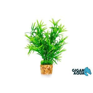 PLANTE AQUA SOCLE 20 CM 674