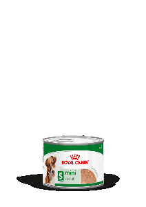 MINI ADULT CAN X 1