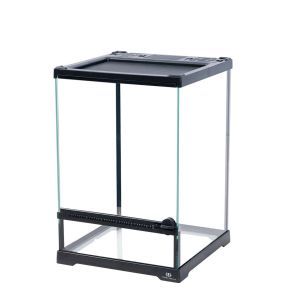 TERRARIUM EN VERRE 21 X 21 X 30 CM NOIR TERRA DELLA