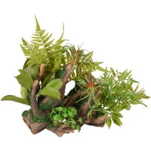 DECOR DIO RACINES + PLANTES 36 x 31 x 33 CM