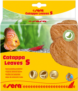 SERA CATAPPA LEAVES S