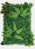 MUR VEGETAL REPTO PLANT BACK WALL L 1 40 X 60 CM