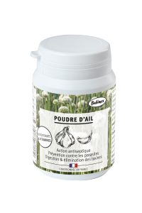 POUDRE D'AIL 60 GR