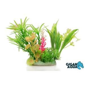 PLANTE SUR PIED 12 CM 523