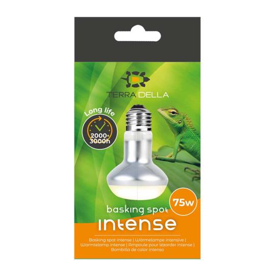 LAMPE INTENSE TERRA DELLA 75 W