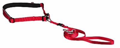 CEINTURE VENTRALE ET LAISSE PETIT CHIEN TRIXIE