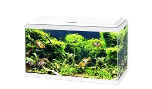 AQUARIUM 60 LED BLANC CF 80