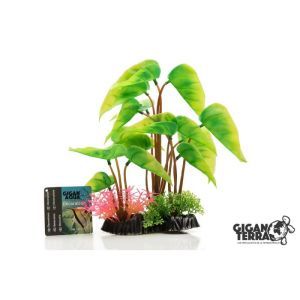 PLANTE SUR PIED 24 CM 545