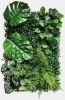 MUR VEGETAL REPTO PLANT BACK WALL L 2 40 X 60 CM