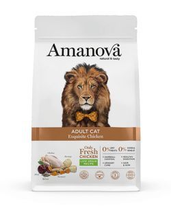 AMANOVA CHAT SEC POULET ET QUINOA 1,5 KG