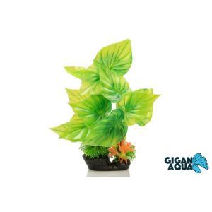 PLANTE SUR PIED 28 CM 534