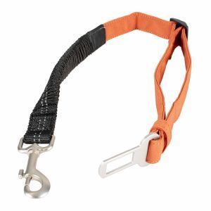 TRAIL CEINTURE DE SECURITE 2 EN 1 ORANGE