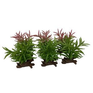 DECOR REPTILE PLANTE CRASSULA 13 X 10,5 X 16 CM