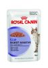 DIGEST SENSITIVE EN SAUCE ROYAL CANIN X 1