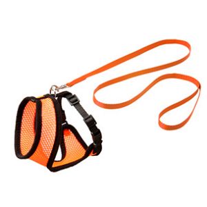 HARNAIS+LAISSE CONFORT KITTY ORANGE