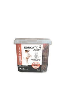 EDUCATION MINI 170 GR HAMI FORM