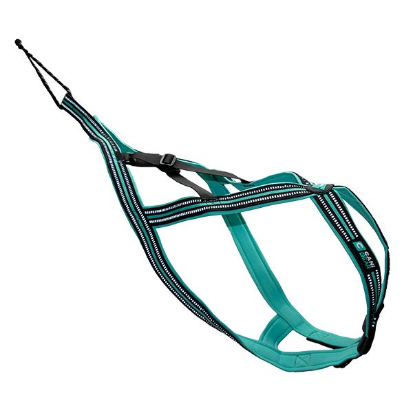 HARNAIS CANICROSS CANI GEAR OLYMPIA XXS
