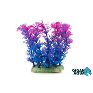 PLANTE SUR PIED 12 CM 520