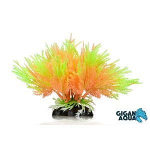 PLANTE AQUA 10 CM 668