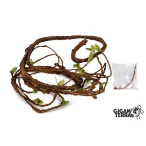 LIANE AVEC FEUILLES M