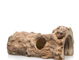 RACINE JAVA WOOD CAVE 25 CM