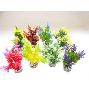 PLANTE NANO FIESTA