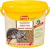 SERA RAFFY P NATURE 3,8 L