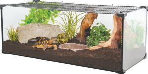 KARAPAS TERRA NOIR 60 CM