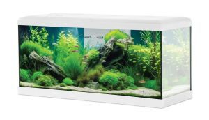 AQUA TANA BLANC 80 CM