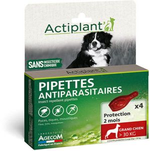 PIPETTE ECO SPOT GRAND CHIEN
