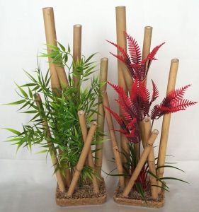 BAMBOU XL PLANTES