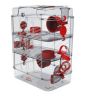 CAGE RODY 3 TRIO GRENADINE