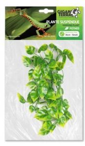 PLANTE SUSPENDUE POTHOS 36 CM