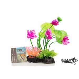 PLANTE SUR PIED 24 CM 547