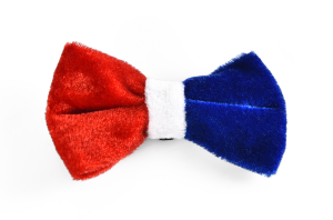 NOEUD POUR CHIEN FRANCE