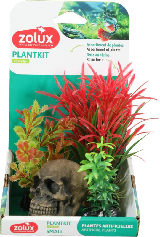 PLANT KIT S TETE DE MORT