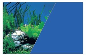 POSTER FOND DECOR ROCHE / BLEU 80 CM