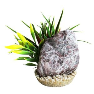 SYDECO ZEBRA STONE PLANTES
