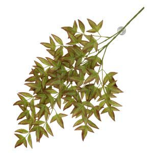 PLANTE SUSPENDUE NANDINA VERTE