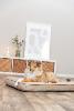 COUSSIN LIANO ANGULAIRE SABLE 80 CM