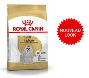 Croquette pour BICHON MALTAIS  ROYAL CANIN 1.5 KG