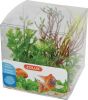 DECORR PLANTES MIX X4 MOD 2