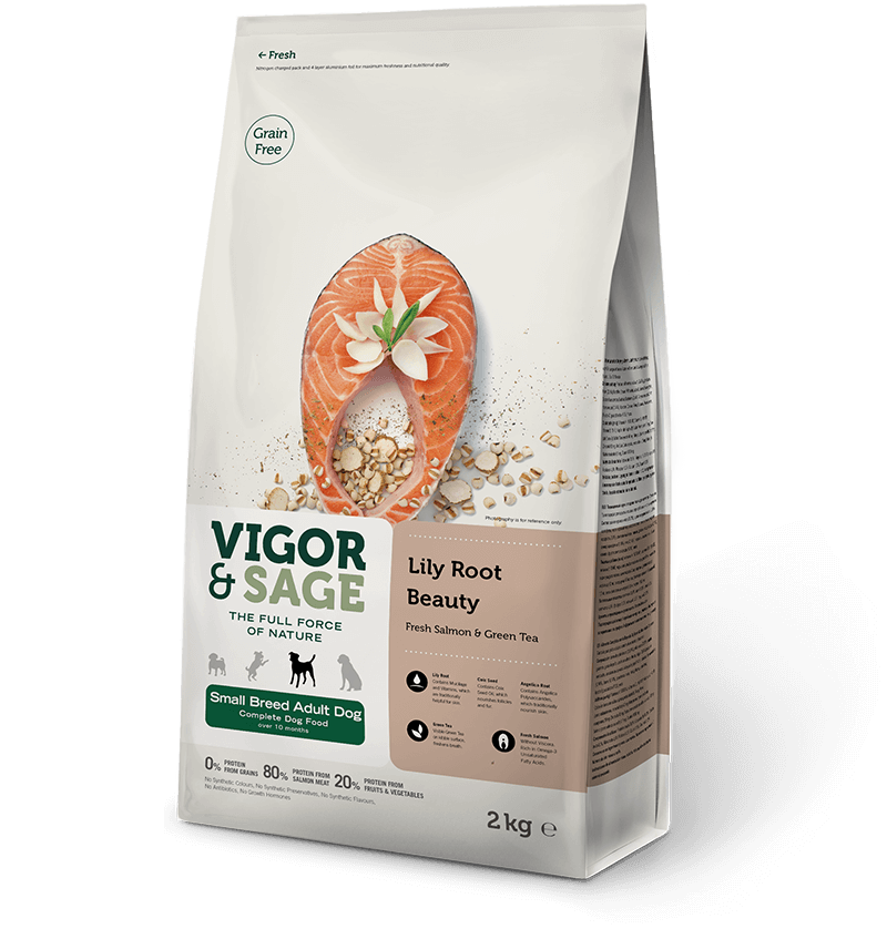 VIGOR & SAGE CHIEN MINI RACINE DE LYS SAUMON THE VERT 6 KG