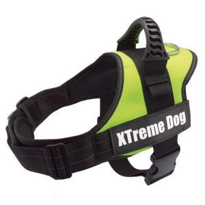 HARNAIS X-TREME DOG VERT FLUO S